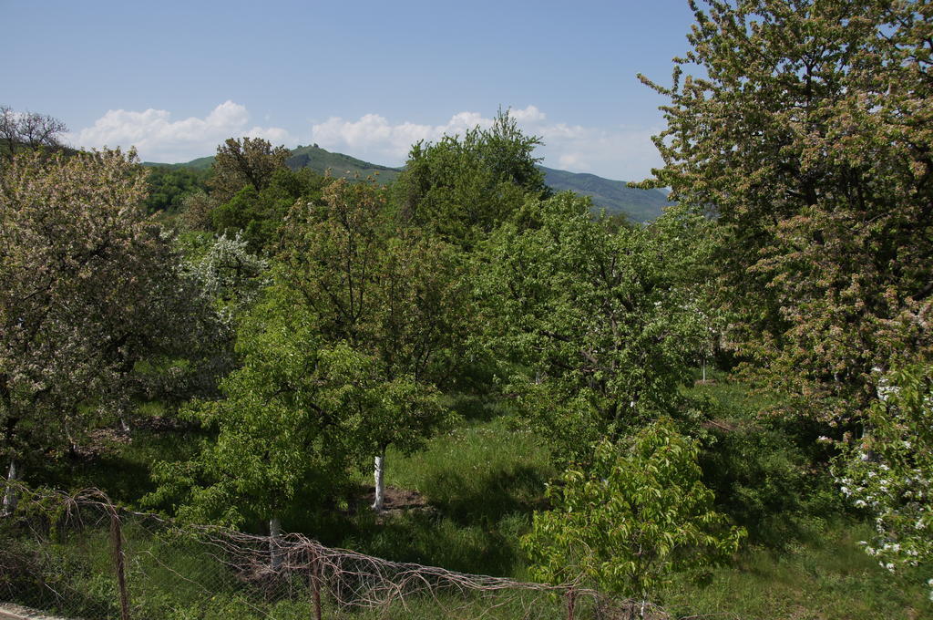 Pensiunea Valea Lupului Valea Lupului  Kültér fotó